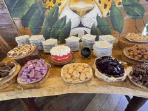 On Vacation Amazon Hotels in Leticia