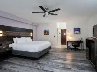 HOM Hotel Gainesville, SureStay Collection by Best Western
