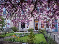 Lochinver Guesthouse Hotels near Culzean Castle