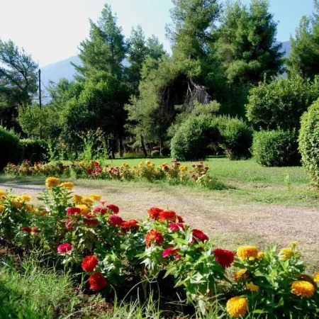 Alexakis Hotel & Spa
