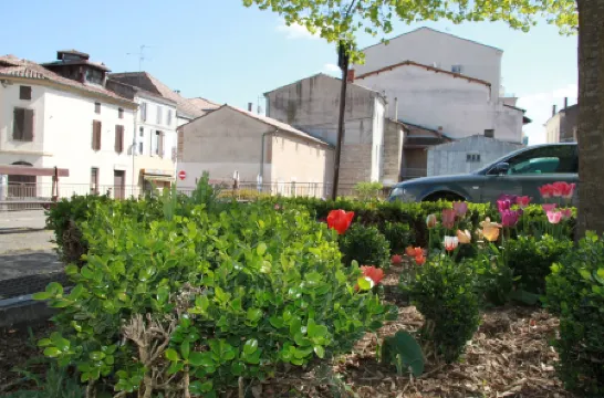 La Maison Duffour Chambres d'hôtes Avec Petit Déjeuner