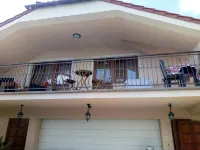 Apartmán Monika Hotels in 