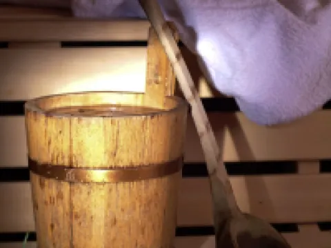 Hotel Lawine Hotels in Todtnau