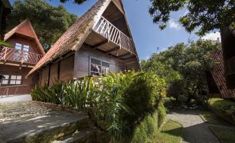 Chalet Suisse