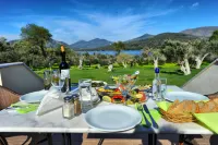 Gera's Olive Grove - Elaionas Lesvou