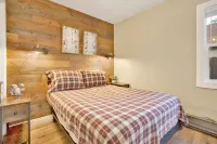 2315-Beary Cozy Cabin Cabin - Chalet