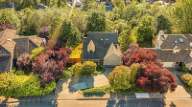 Bodur's Rustling Leaves EV Charge BBQ