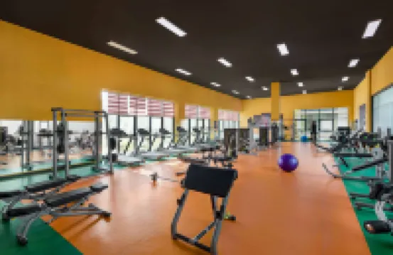 ウィンダム バクー