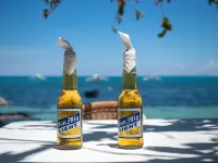 Hippocampus Beach Resort Hotels in Daanbantayan