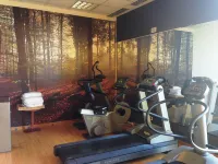 voco Parma & Congressi by IHG - Gym