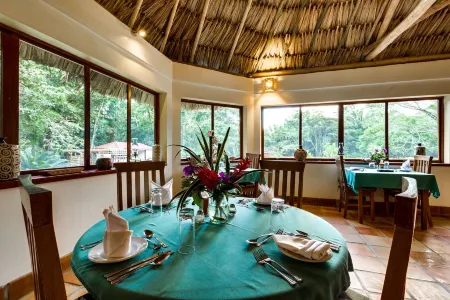 Tanager RainForest Lodge Отели в г. Пунта-Горда