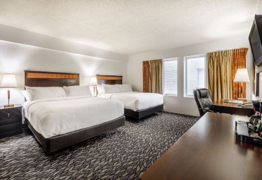 리룩스 호텔 내부 객실 또는 조식장면 이미지