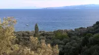 Dodis Village