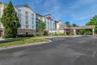 Hilton Garden Inn Atlanta NE Gwinnett Sugar Loaf Hotels in Duluth