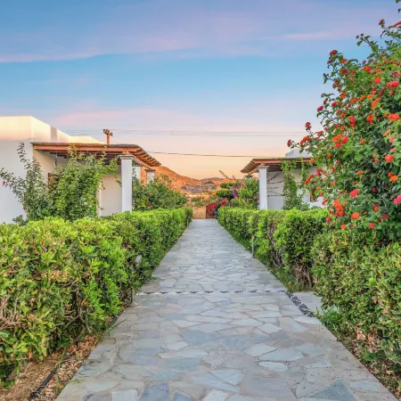 Anemonisia Skyrian Living