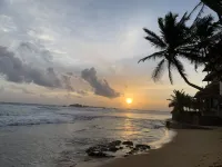 Curry Bowl Restaurant & Turtles Rest - Beach