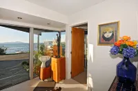 Kapiti Waves