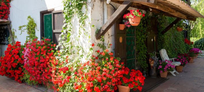 B&B Villa Sans Souci Hotels in Civitavecchia