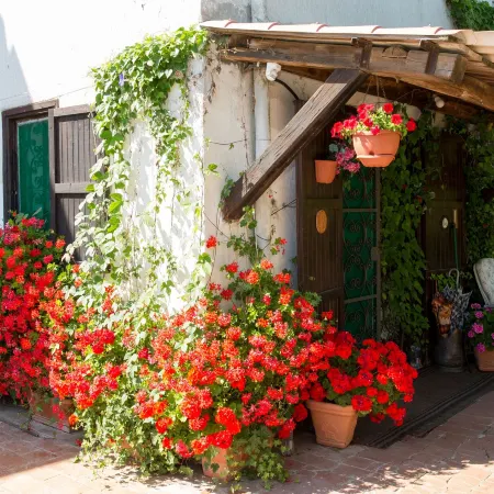 B&B Villa Sans Souci