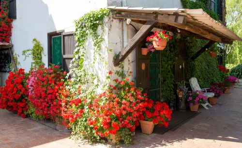 B&B Villa Sans Souci - Airport Shuttle