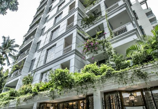 샤푸쿠 스위트 이미지