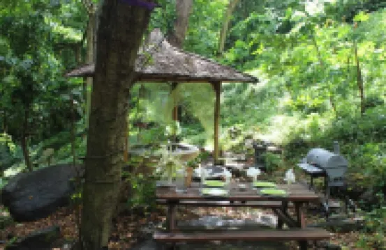 Ecolodge Martinique Hotels in 