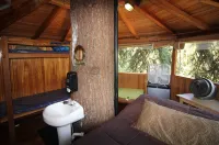Out 'N' About Treehouse Treesort Hotels in Josephine County