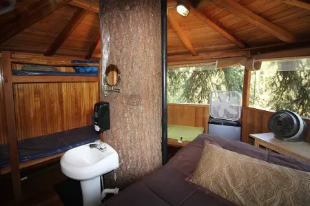 Out 'N' About Treehouse Treesort