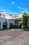 Oasis Bay Suites, Tampa, Busch Gardens, USF Hotels in Temple Terrace