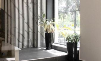 Tvrdjava Rooms - Novi Sad