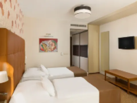 Corso Hotel Pécs Hotels in Pecs