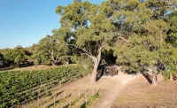 Cabn McLaren Vale Hotels in Moana