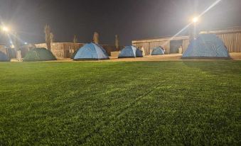 Luxury Premium Desert Camp Deluxe Room