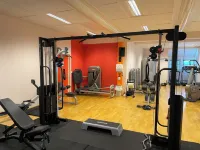 Haugetuft Apartments Hotels in Rauland