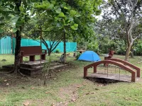 Tips Vacation Hotels in Ciudad Quesada