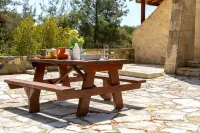 Platres Forest Panorama