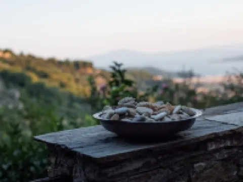 Secluded Cottage Guesthouse in the Mountains Hotels in Makrinitsa