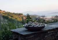 Secluded Cottage Guesthouse in the Mountains Hotels in Makrinitsa