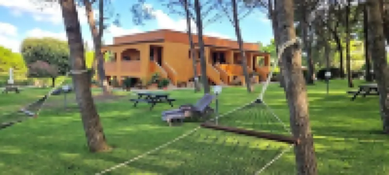 Sole del Mediterraneo