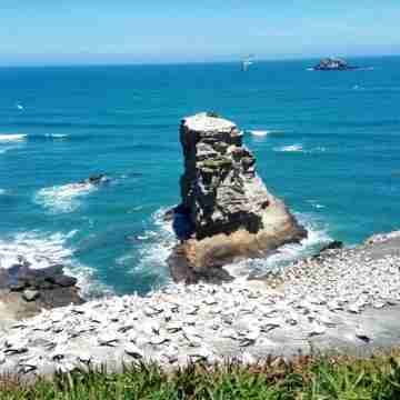 MURIWAI APT/UNIT Others