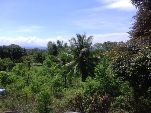 Pool Apartment with Hotelservice Hotels in Alcoy