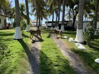 Private beach house near International airport Hotels in 