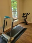Blue Rose Bungalow: Downtown vibe w/1896 charm. Lake Life. Gym. Kitchen. Parking
