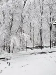 Log Home on Water- a True Pocono Mountains Gem!!