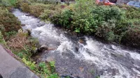 Cosy Welsh Cottage near to Ffestiniog Railway, local beaches, walks & activities
