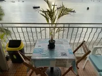 Pleasant studio with sea view Hotels near Diamant rock