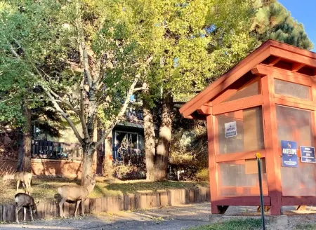 Updated 3 Minute Walk to AF-Large Condo 1168sqft