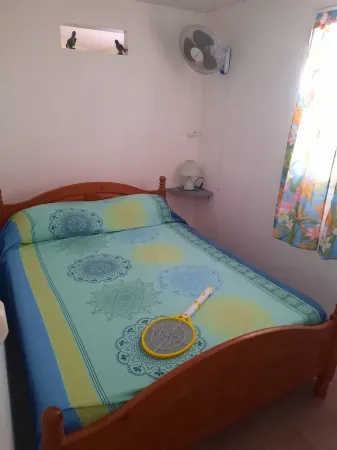 Bright house overlooking the bay of Marin