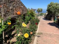 Villa Cantos del Grillo. Tranquility and peace to spend as a family. Hotels in Comarca Este