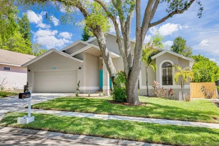 Palm harbor/Crystal Beach 3/2 W Heated pool & Spa